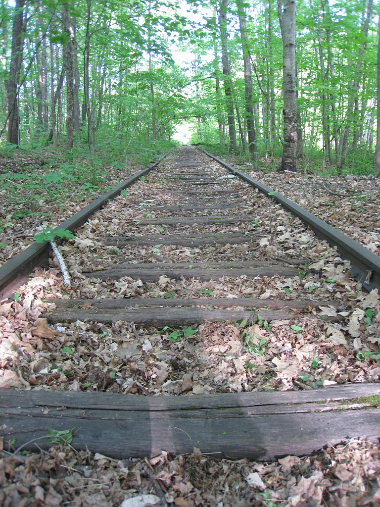 Tilton NH Rail Trail 2010 0175.jpg - Winnipesaukee River Trail, Franklin New HampshireTrestle View ParkInterested in taking a walk or bike ride on a scenic historic trail close to the downtowns of the twin rivers area, yet with the feel of wilderness. A 3 mile trail parallels the Winnipesauke river and passes the historic Sulphite upside down covered bridge believed to be the only one in the country and listed on the national register of historic places. You will also view mill ruins and remaining portions of dams that tell the history of the 5 mills that operated on this river in the mid 19th century.